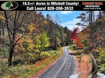 Property for sale in Mitchell County, North Carolina