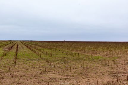 Property for sale in Haskell County, Texas