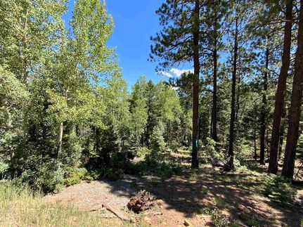 Property for sale in Colfax County, New Mexico