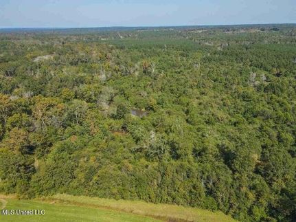 Property for sale in Smith County, Mississippi