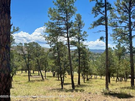 Undeveloped Land for sale in Lincoln County, New Mexico