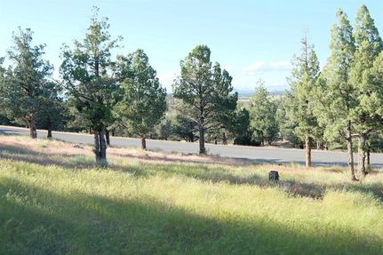 Property for sale in Siskiyou County, California