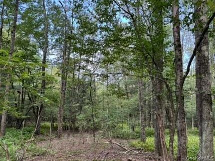 Property for sale in Sullivan County, New York