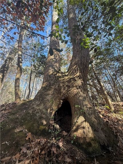 Property for sale in Greenville County, South Carolina