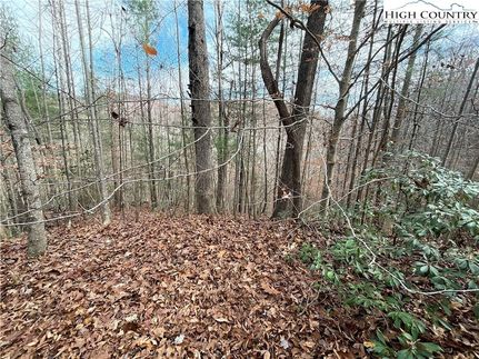 Property for sale in Caldwell County, North Carolina