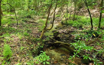 Property for sale in Union County, Georgia