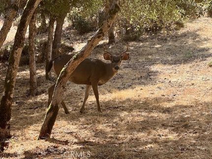 Property for sale in Lake County, California