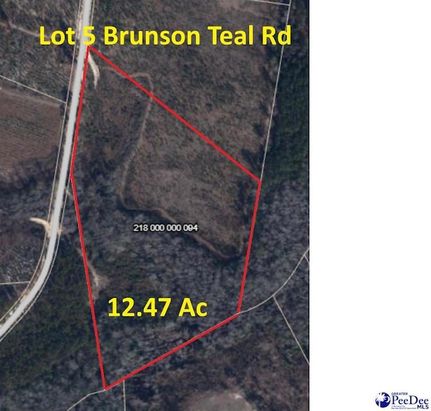 Undeveloped Land for sale in Chesterfield County, South Carolina