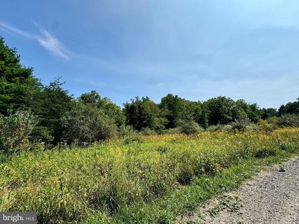 Property for sale in Hardy County, West Virginia