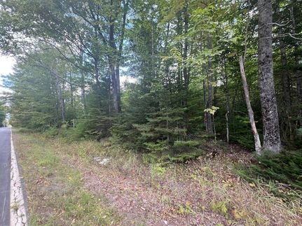 Undeveloped Land for sale in Piscataquis County, Maine