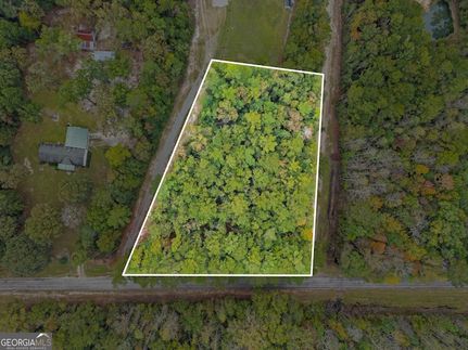 Undeveloped Land for sale in Effingham County, Georgia
