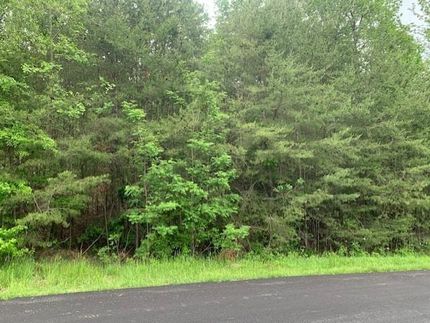 Undeveloped Land for sale in Hopkins County, Kentucky