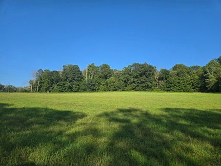 Undeveloped Land for sale in Chenango County, New York
