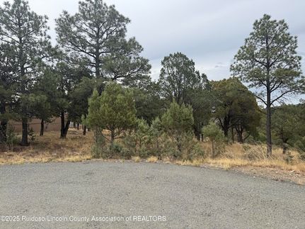 Undeveloped Land for sale in Lincoln County, New Mexico