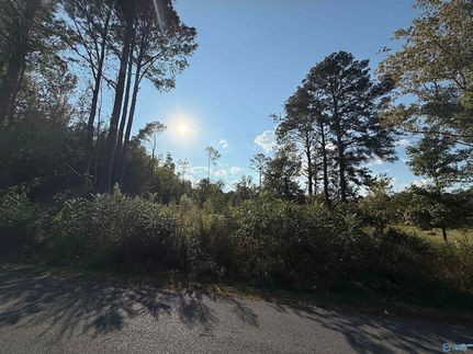 Property for sale in Etowah County, Alabama