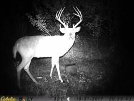 Undeveloped Land for sale in Franklin County, Kansas