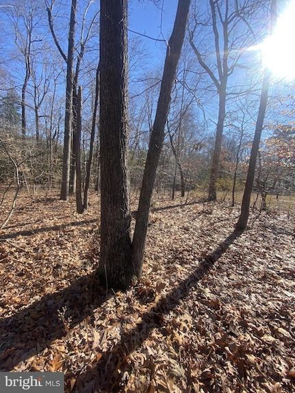 Undeveloped Land for sale in Kent County, Delaware