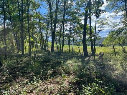 Undeveloped Land for sale in Lycoming County, Pennsylvania