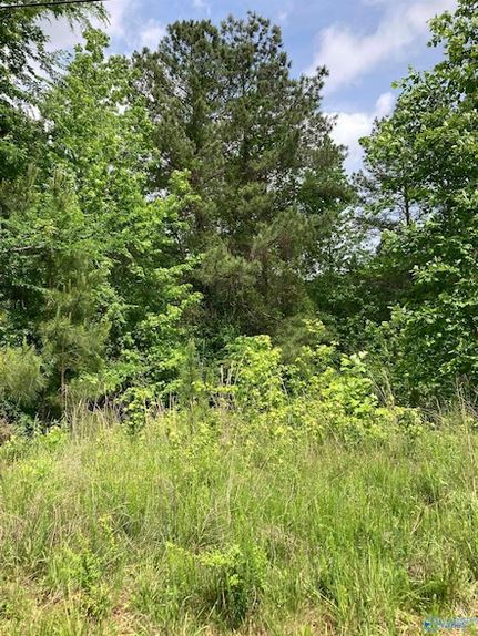 Property for sale in Morgan County, Alabama