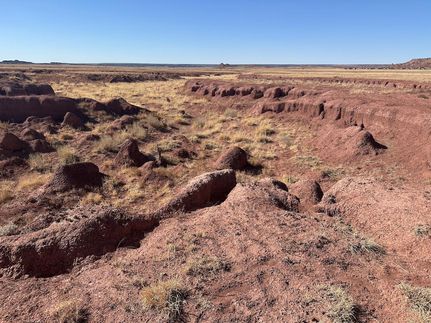 Property for sale in Apache County, Arizona