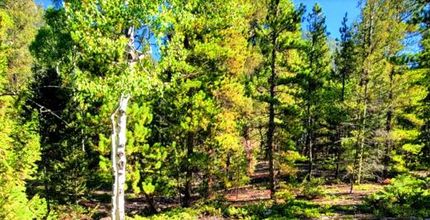 Property for sale in Gunnison County, Colorado