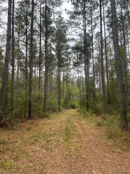 Property for sale in Walthall County, Mississippi