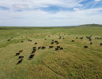 Property for sale in Kern County, California