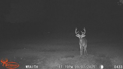 Property in Howard County, Missouri