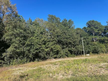 Undeveloped Land for sale in Berkeley County, South Carolina