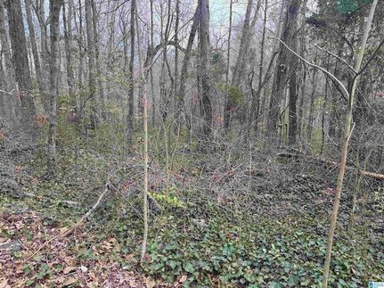 Undeveloped Land for sale in Jefferson County, Alabama