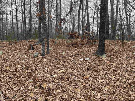 Property for sale in Fulton County, Arkansas