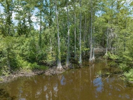 Undeveloped Land for sale in Brooks County, Georgia
