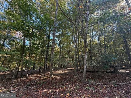 Undeveloped Land for sale in Frederick County, Virginia