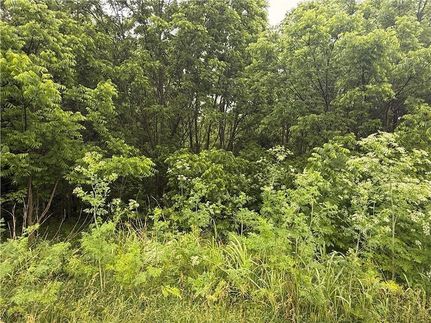 Undeveloped Land for sale in Camden County, Missouri
