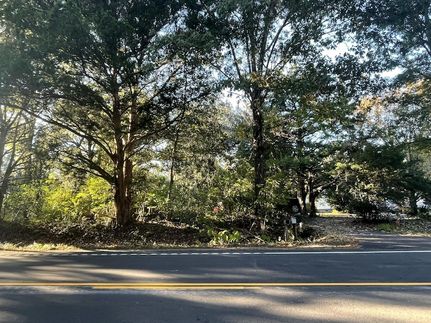 Undeveloped Land for sale in Charleston County, South Carolina