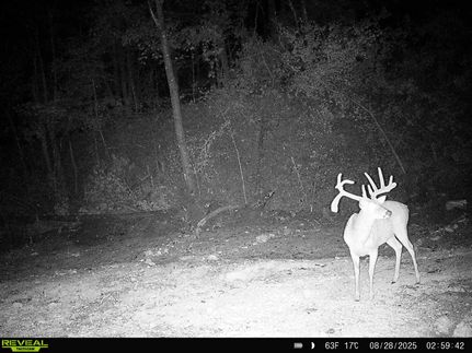 Property for sale in Hopkins County, Kentucky