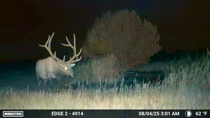 Property for sale in Las Animas County, Colorado