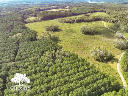 Timberland Property for sale in Colleton County, South Carolina