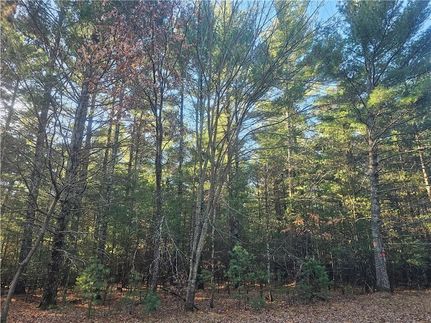 Property for sale in Burnett County, Wisconsin