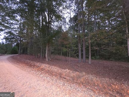 Undeveloped Land for sale in Heard County, Georgia