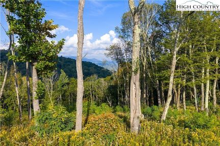 Property for sale in Avery County, North Carolina