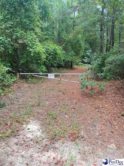 Property for sale in Kershaw County, South Carolina
