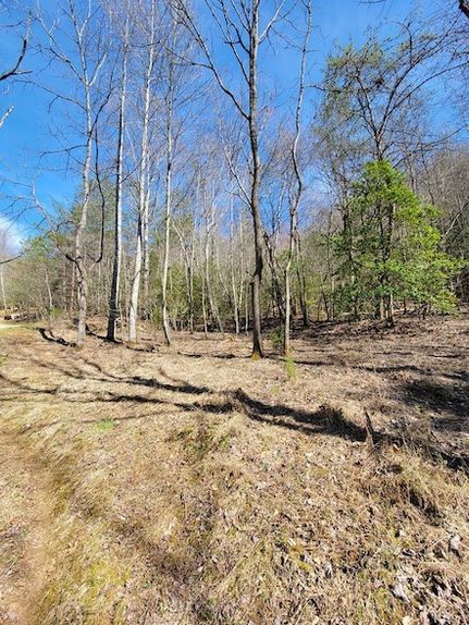Property for sale in Macon County, North Carolina