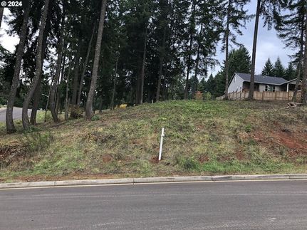 Undeveloped Land for sale in Lane County, Oregon