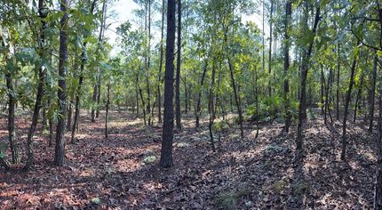 Undeveloped Land for sale in Walton County, Florida