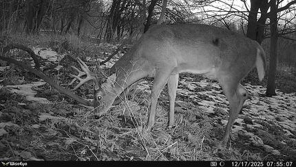 Property for sale in Clark County, Illinois