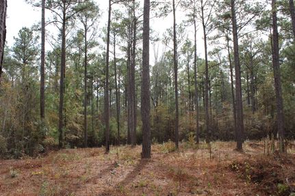 Property for sale in Tallapoosa County, Alabama