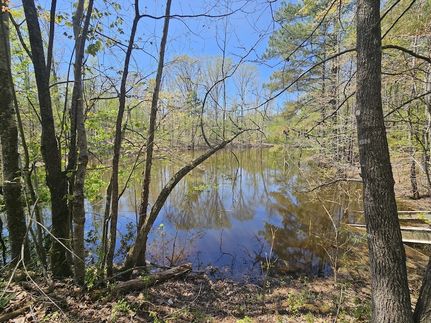 Property for sale in Decatur County, Tennessee