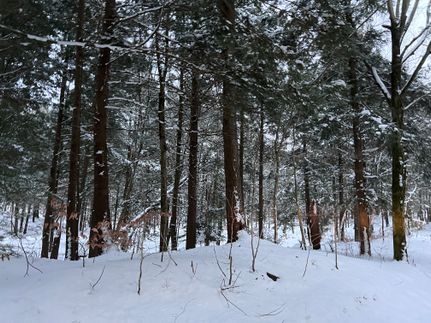 Property for sale in Oswego County, New York