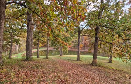 Property for sale in Pike County, Missouri